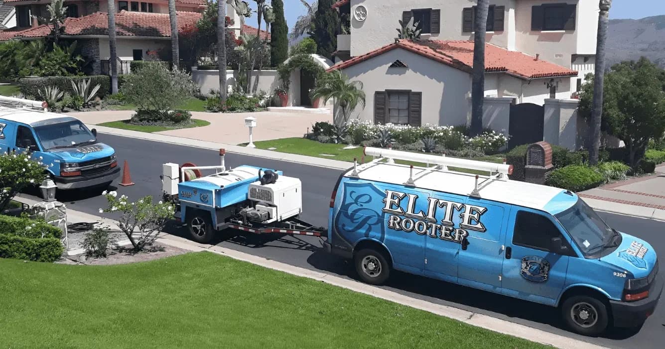 Elite Rooter